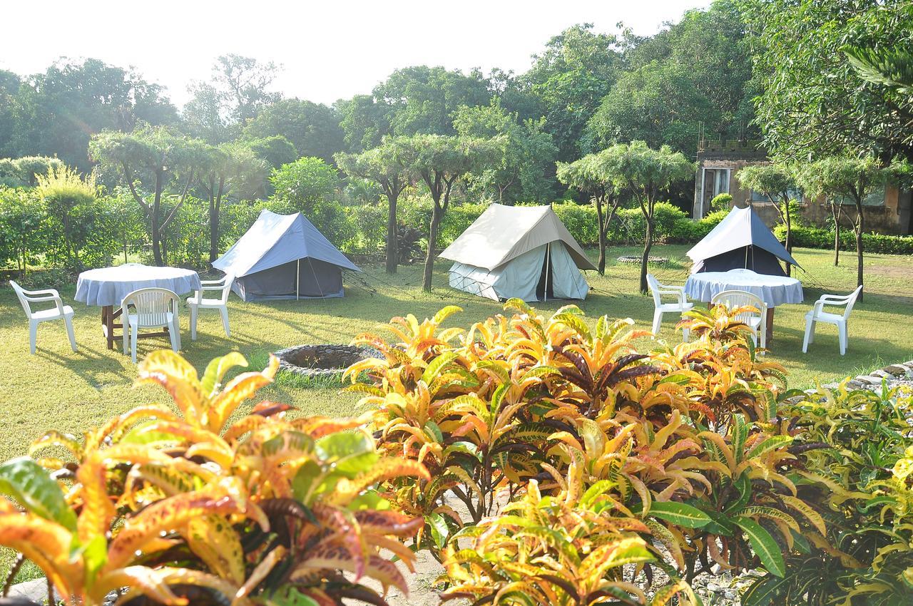 Vanya River Lodge Dhikuli المظهر الخارجي الصورة